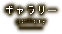 ギャラリー gallery